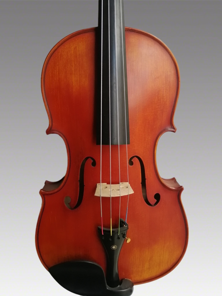 Viola copy Drozen