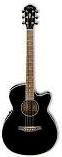 Ibanez-AEG8E-BK