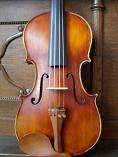Viola