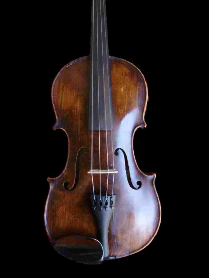 Viola 39.5cm