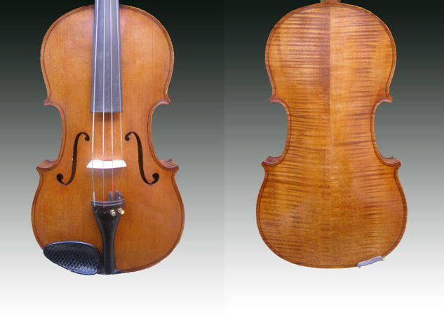 Viola 