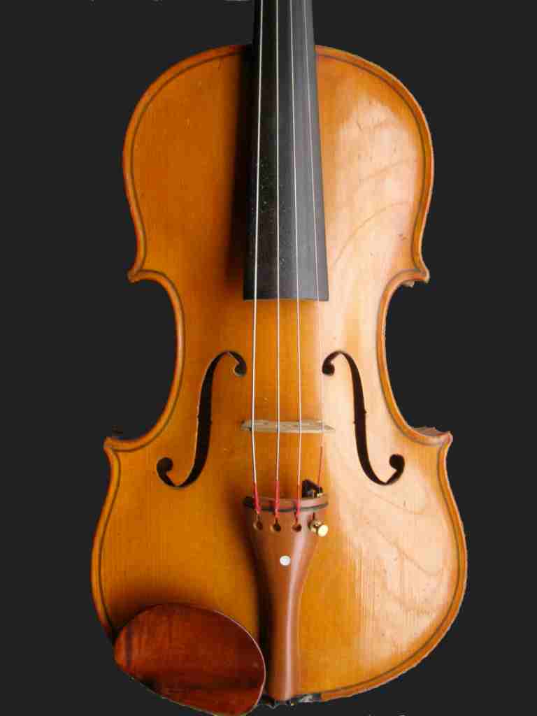 Mistrovská Viola Jan Podešva